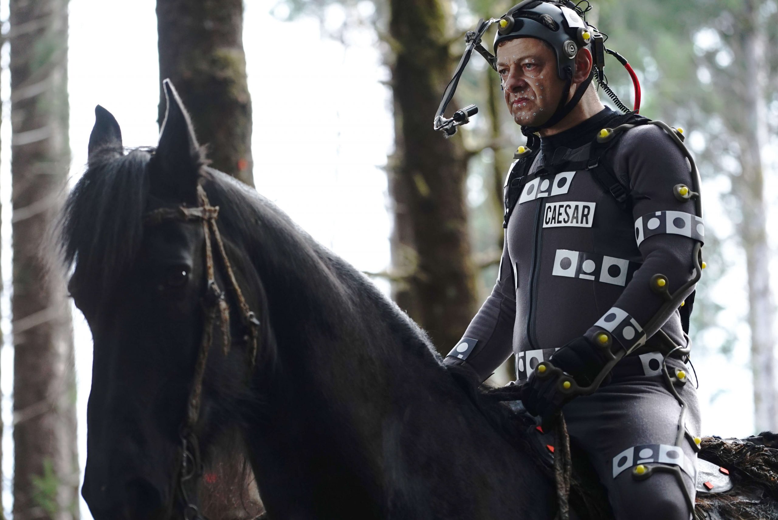 Doane Gregory, War for the Planet of the Apes